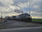 NS 10K